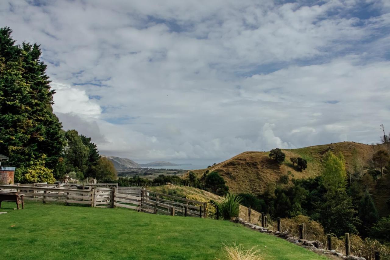 Luxury Stay, Alpaca Farm Paraparaumu Kültér fotó