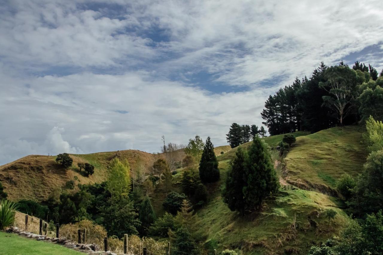 Luxury Stay, Alpaca Farm Paraparaumu Kültér fotó