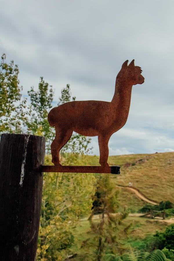 Luxury Stay, Alpaca Farm Paraparaumu Kültér fotó