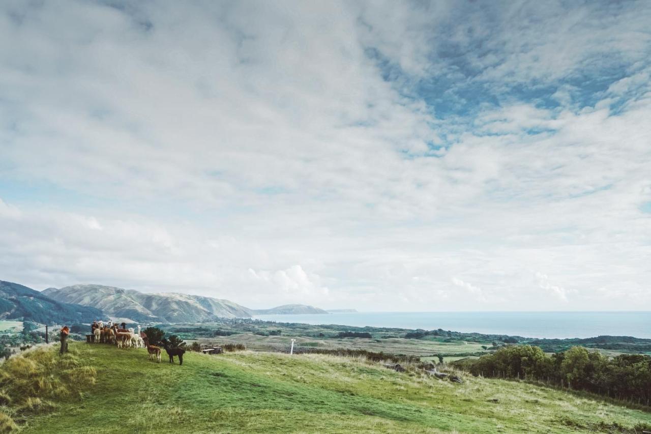 Luxury Stay, Alpaca Farm Paraparaumu Kültér fotó